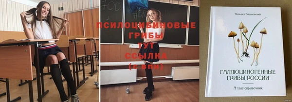 гидропоника Михайловка