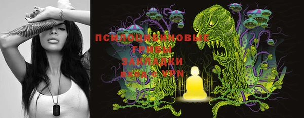 экстази Михайлов