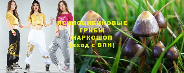 экстази Михайлов